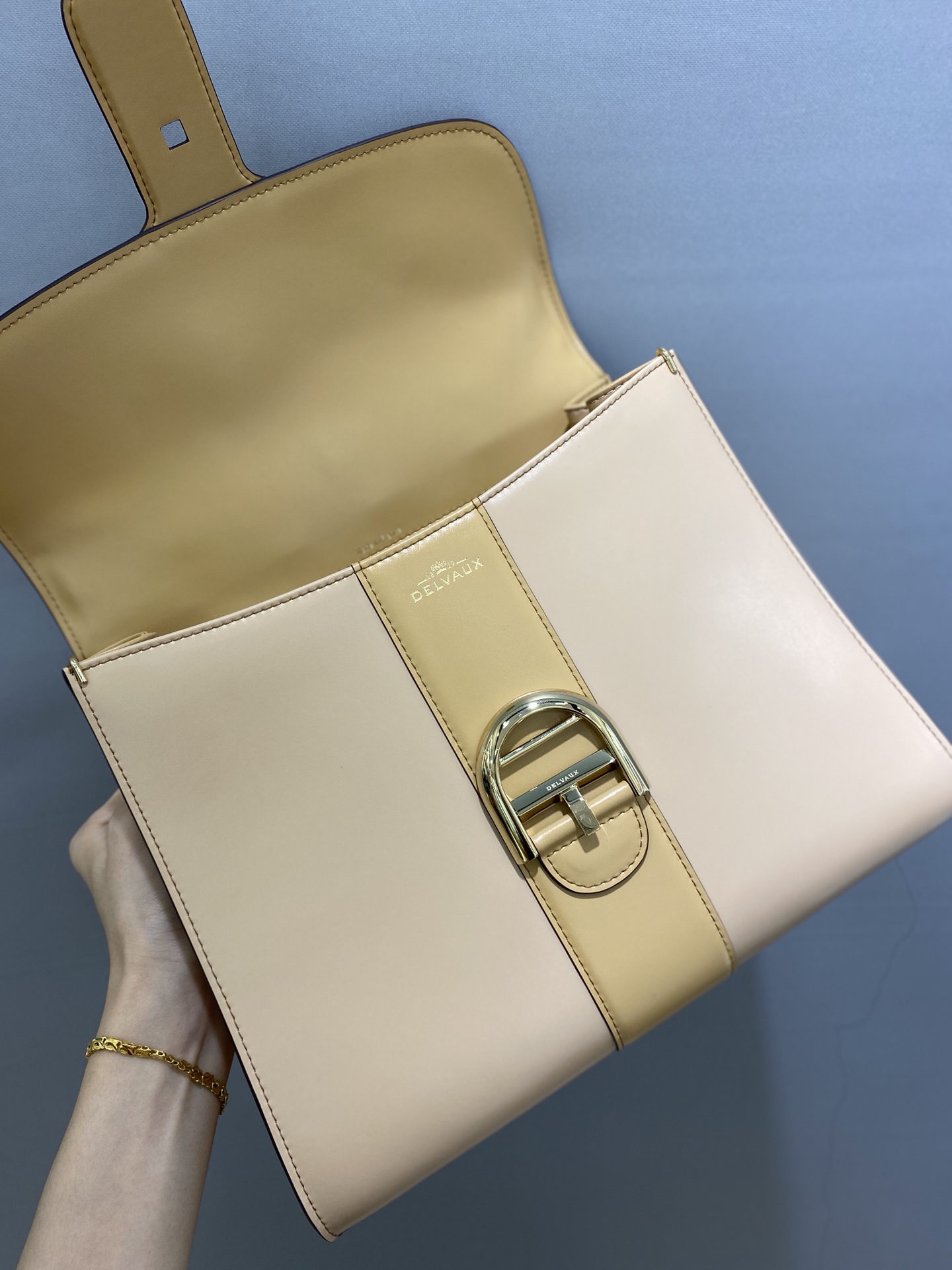 델보 브리앙 박스백 미듐